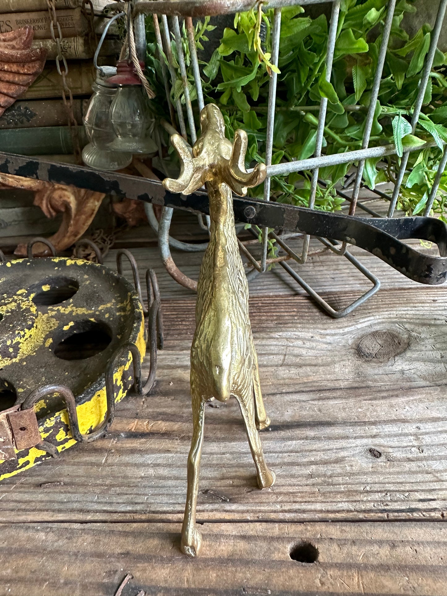 Brass Deer Set Of Two