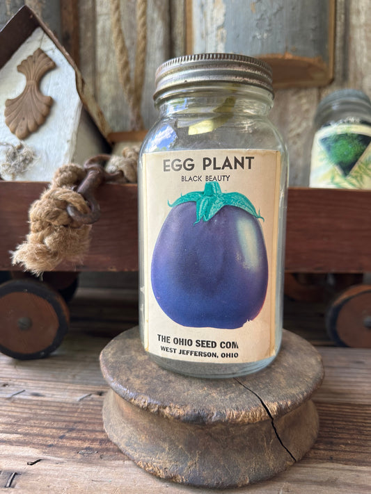 Egg Plant The Ohio Seed Co Jar