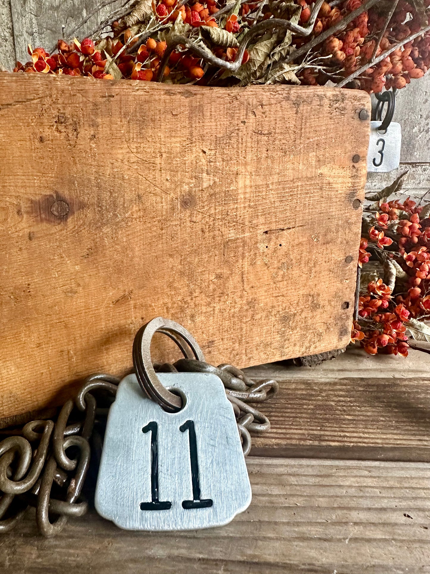 Cattle Tag With Chain #11