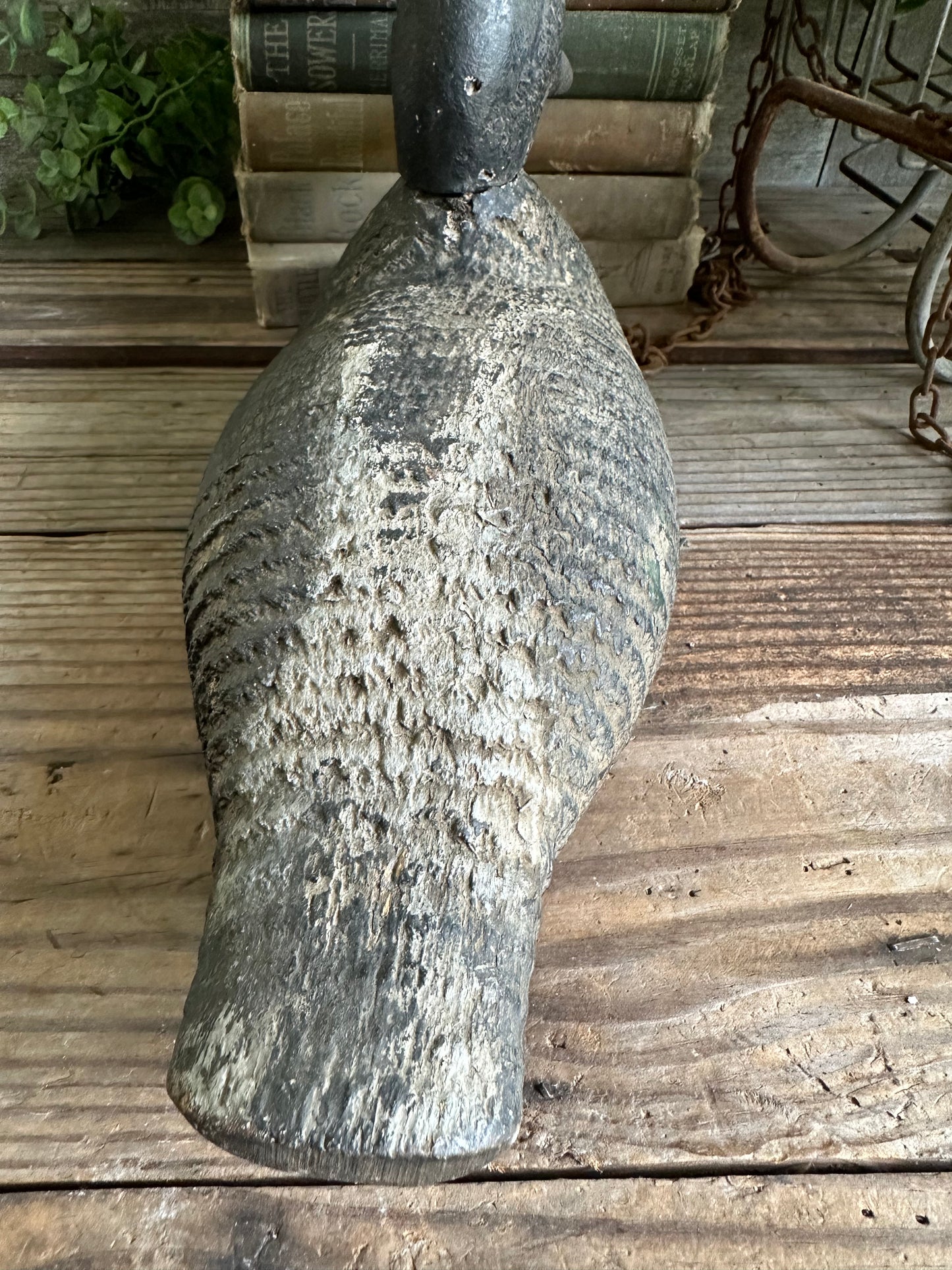 Duck Decoy