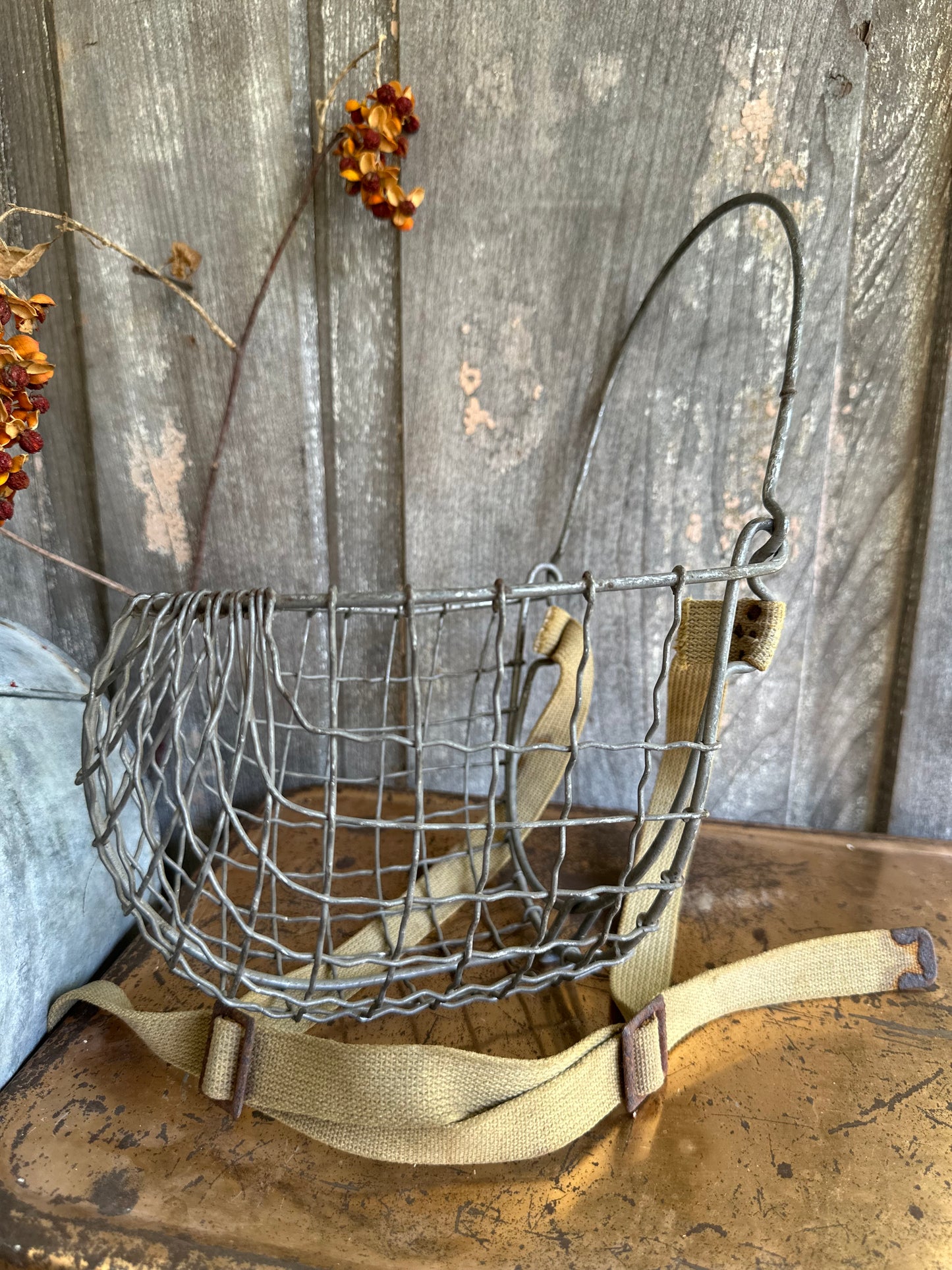 Metal Wire Muzzle With Strap