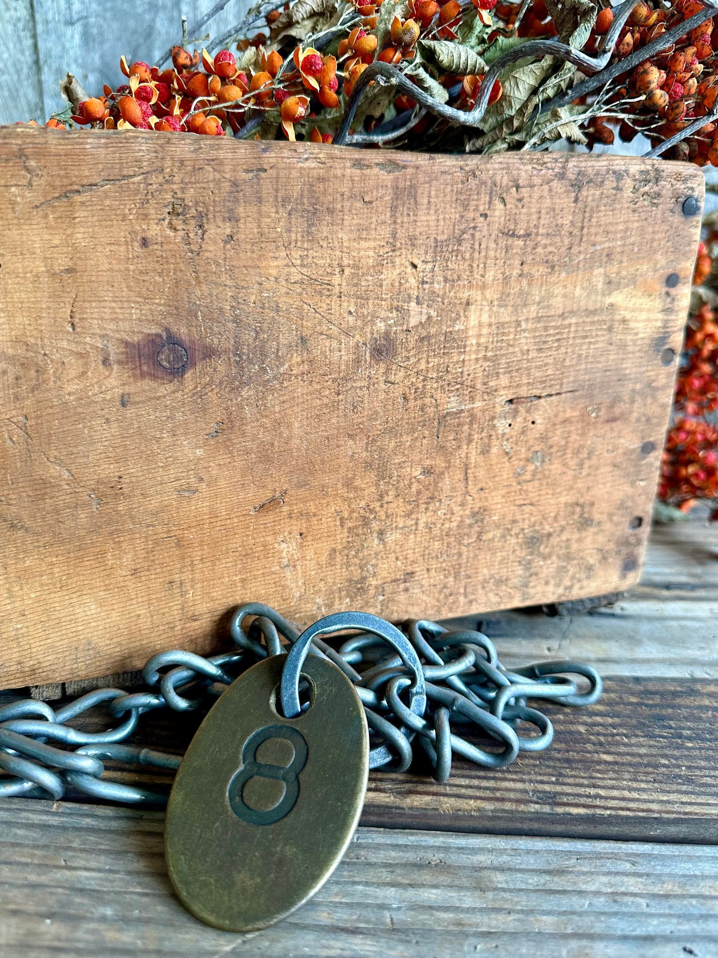 Cattle Brass Tag With Chain #8