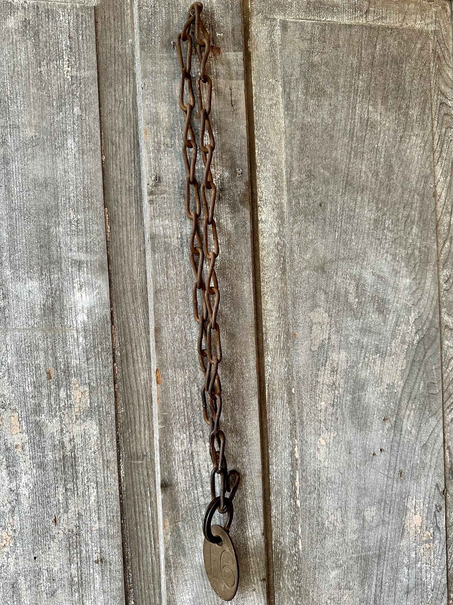 Cattle Brass Tag With Rusty Metal Chain #16