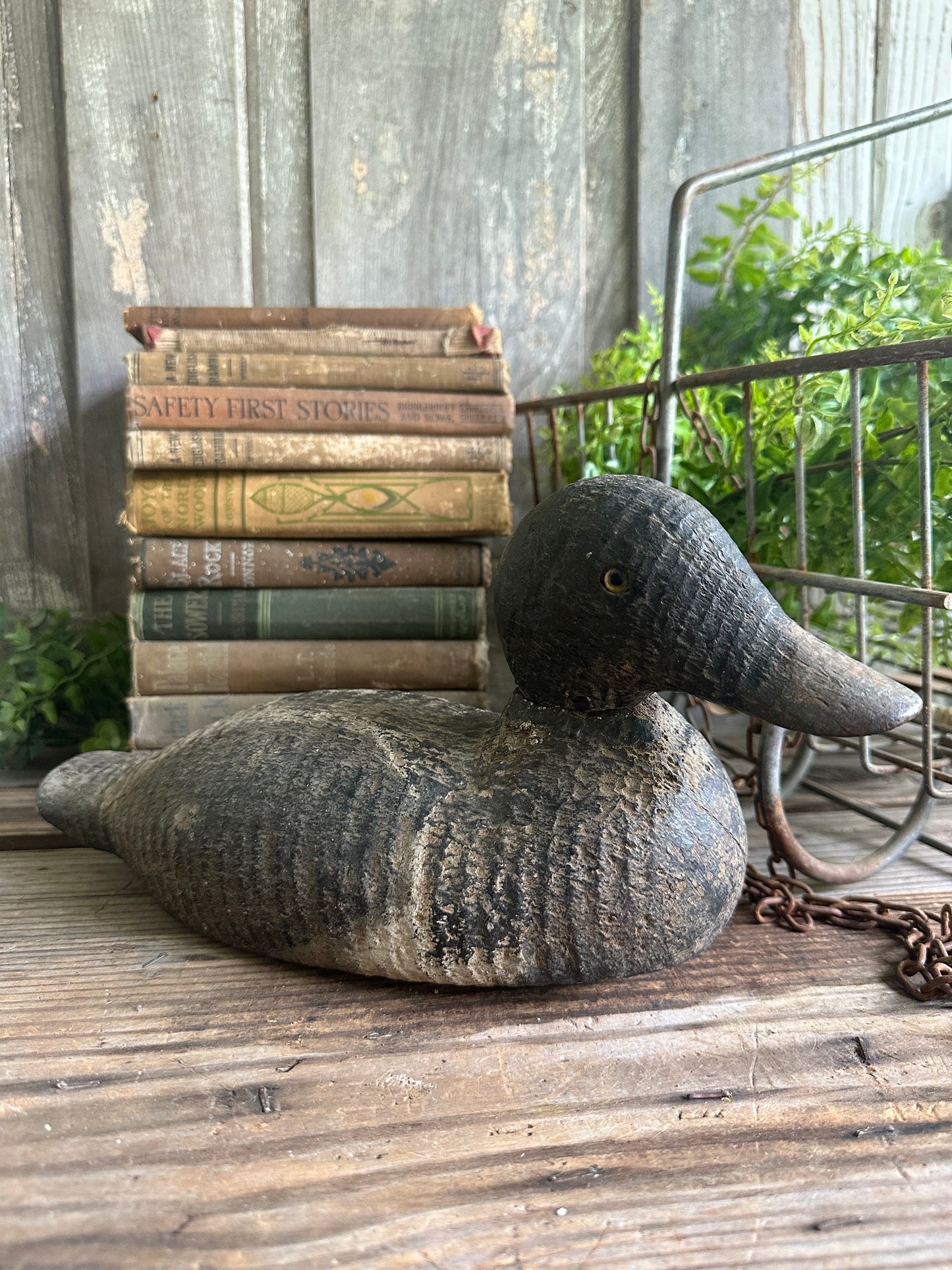 Duck Decoy