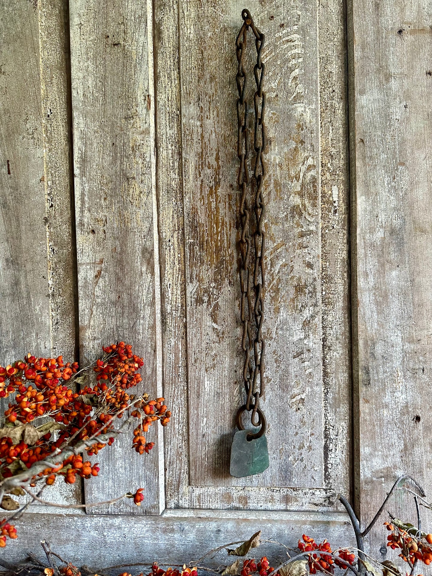 Cattle Tag With Rusty Chain #4