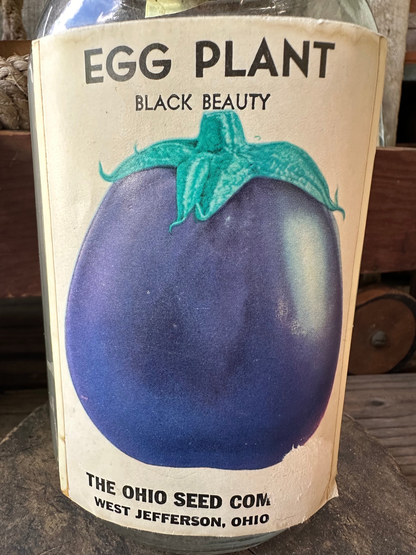 Egg Plant The Ohio Seed Co Jar