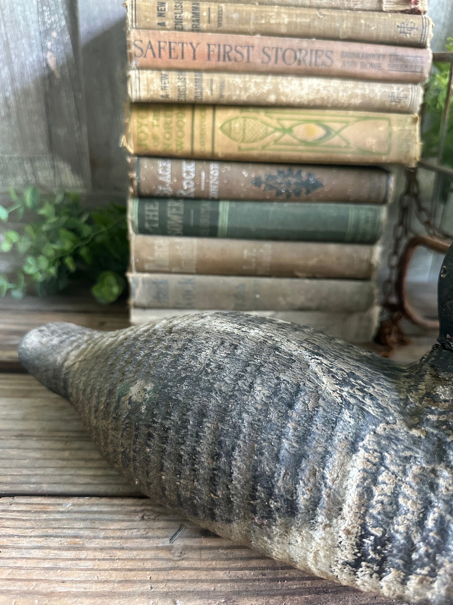 Duck Decoy