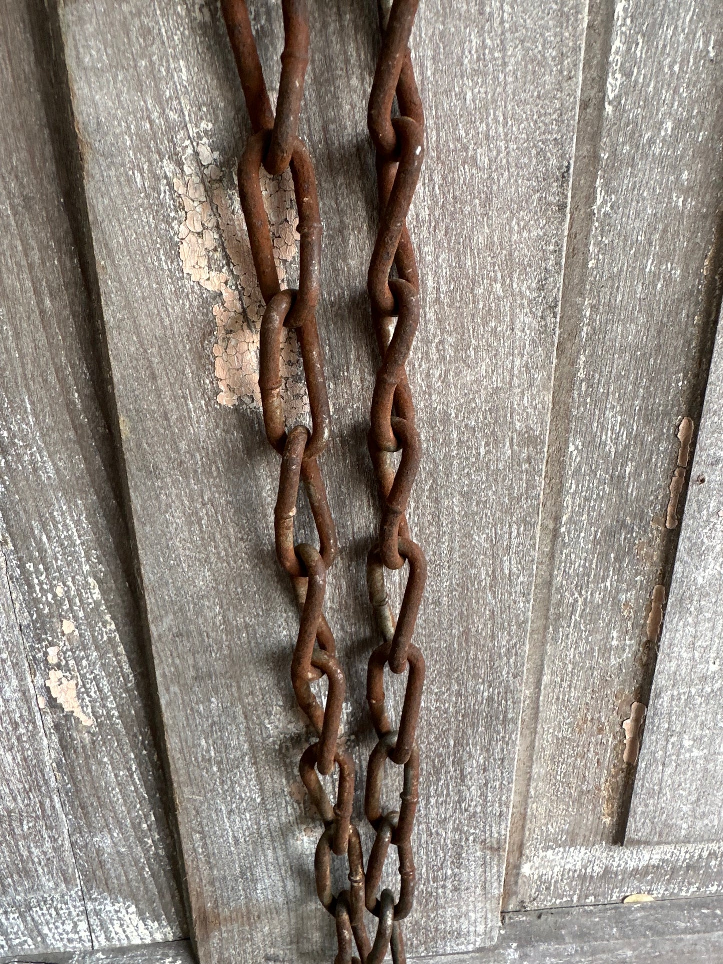 Cattle Brass Tag #13 With Rusty Metal Chain