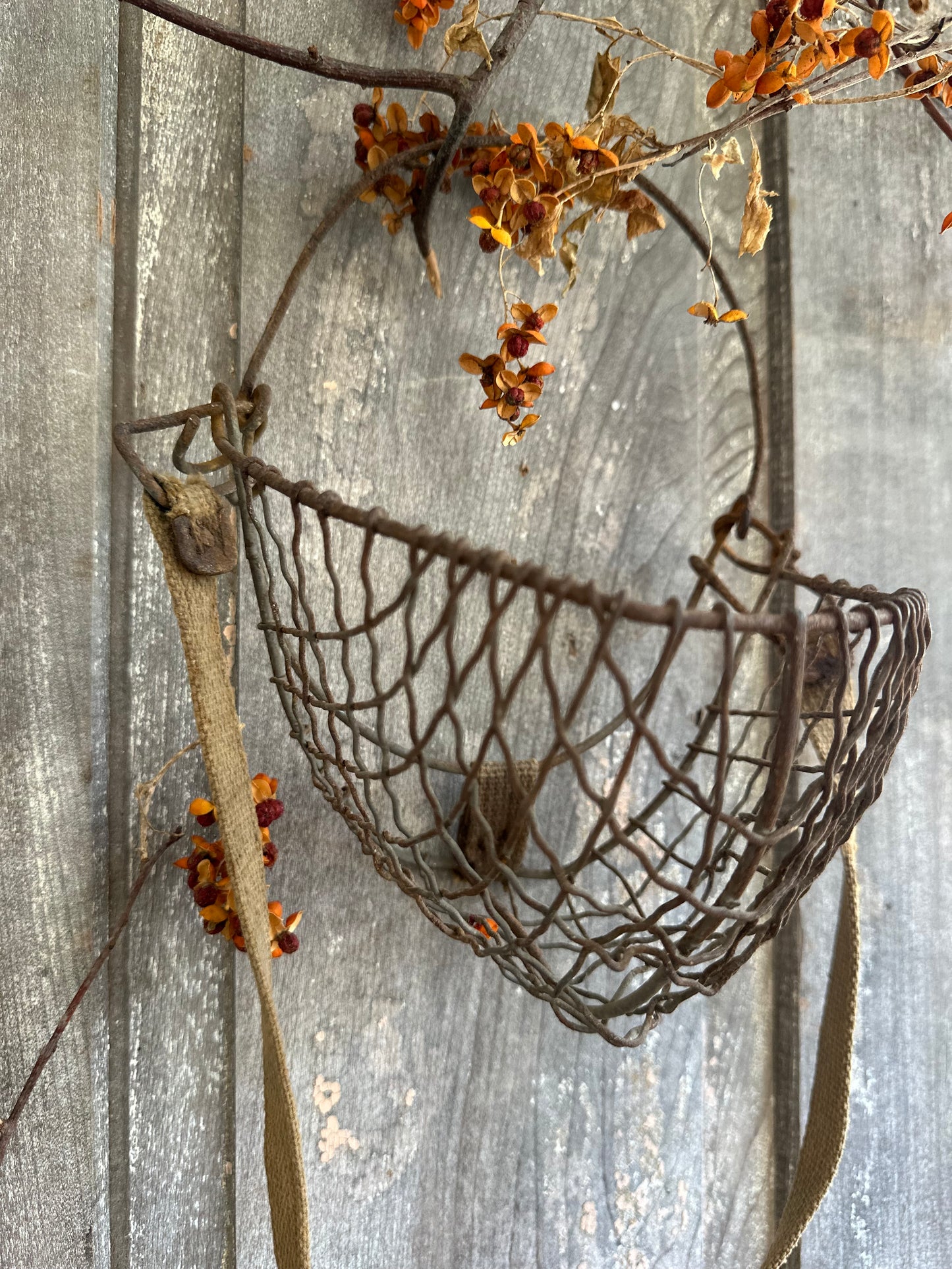 Rusty Metal Wire Muzzle With Strap