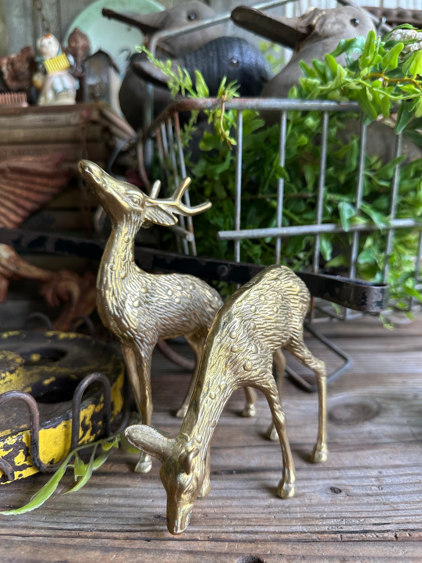 Brass Deer Set Of Two