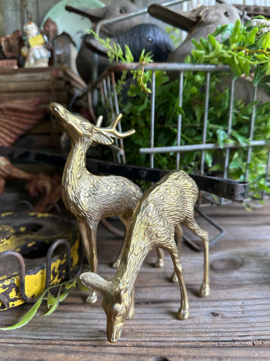 Brass Deer Set Of Two