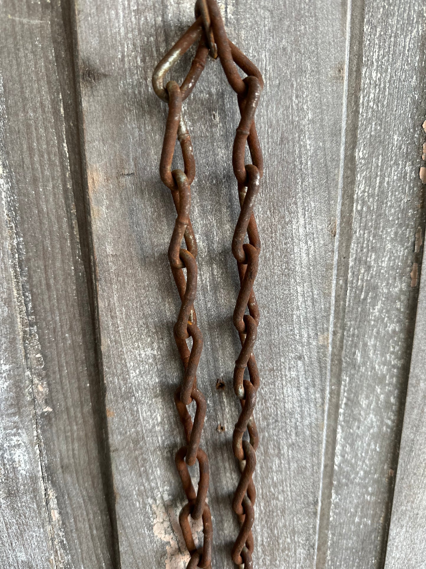 Cattle Brass Tag #13 With Rusty Metal Chain