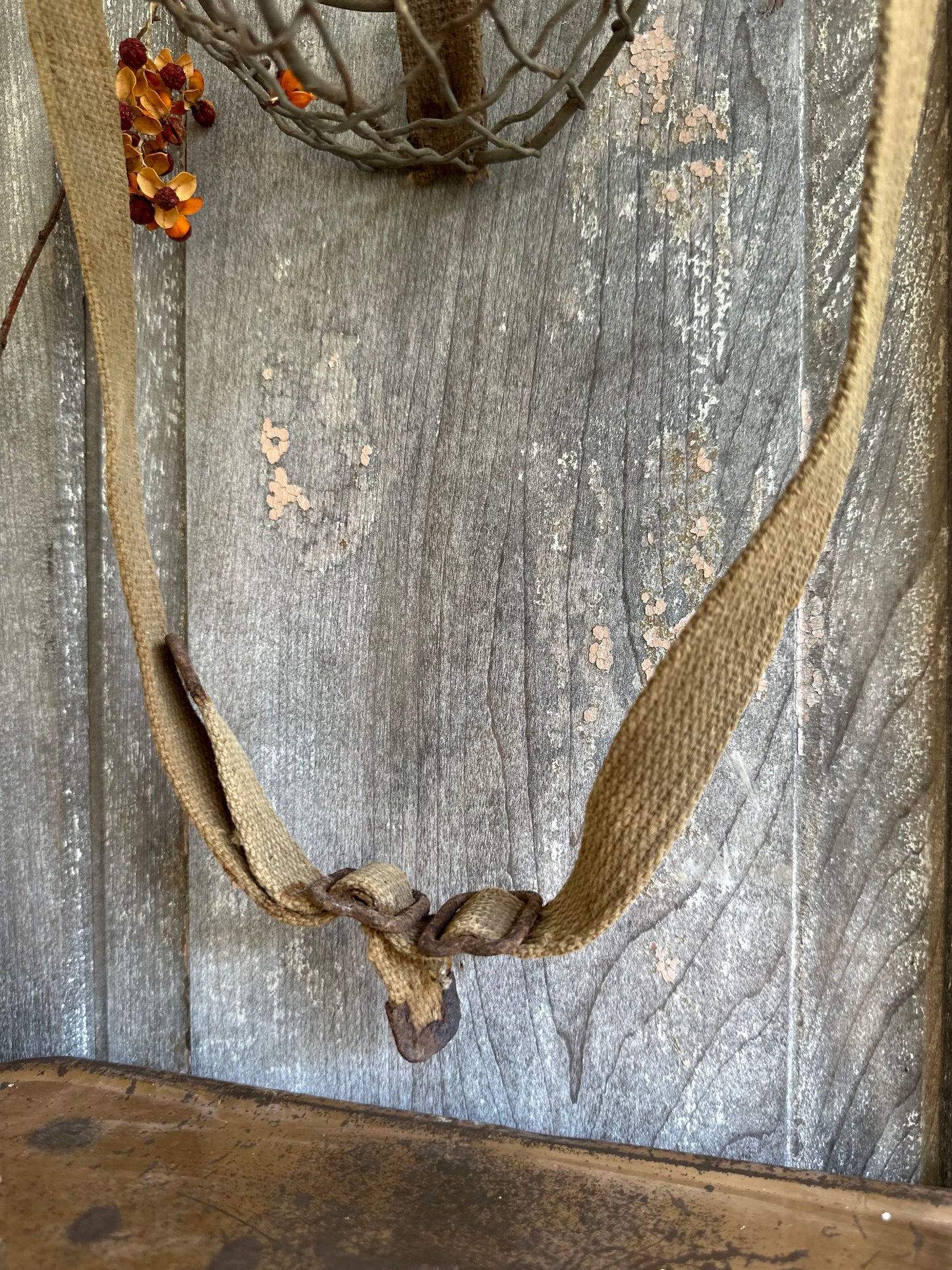 Rusty Metal Wire Muzzle With Strap