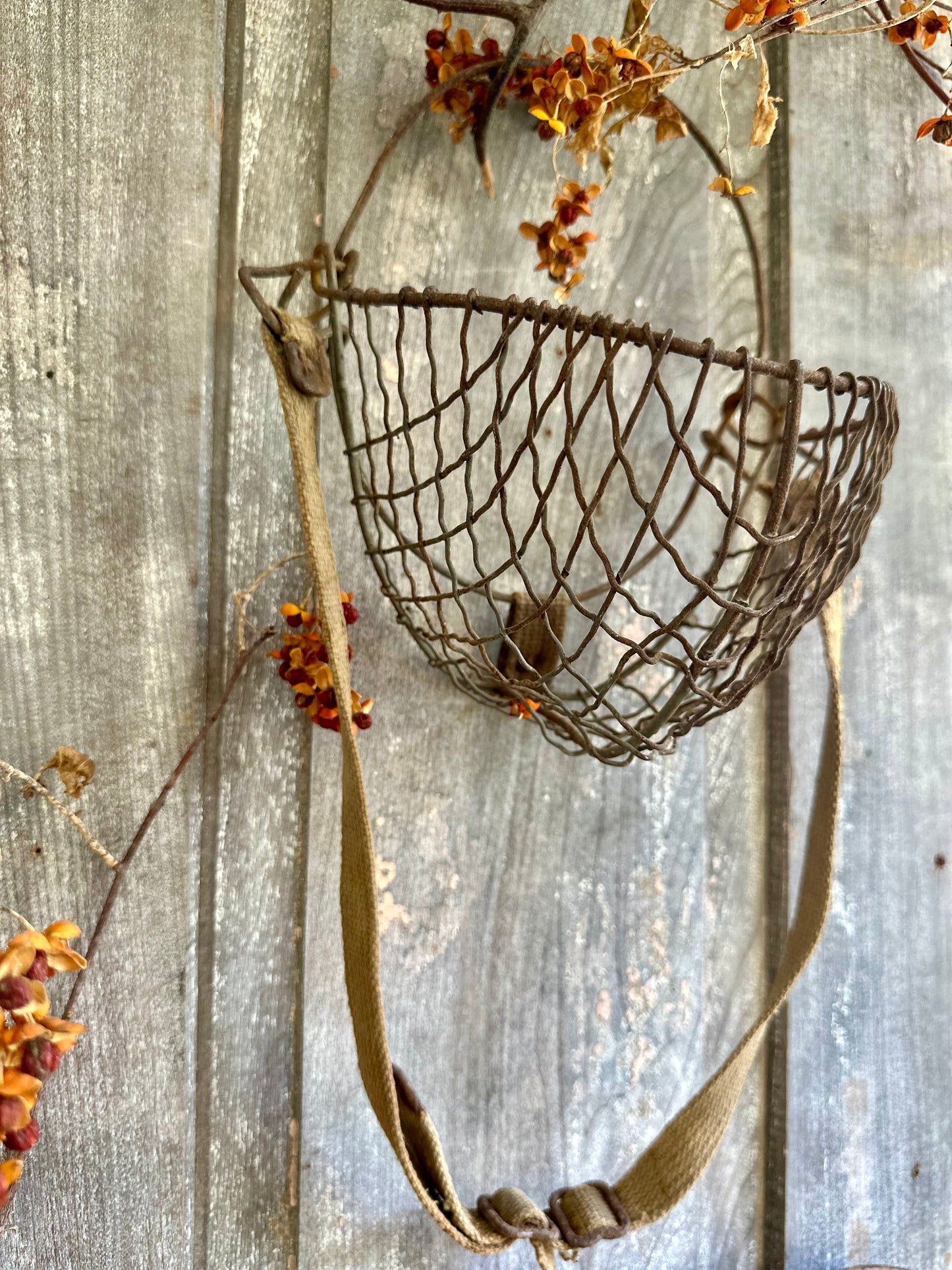 Rusty Metal Wire Muzzle With Strap