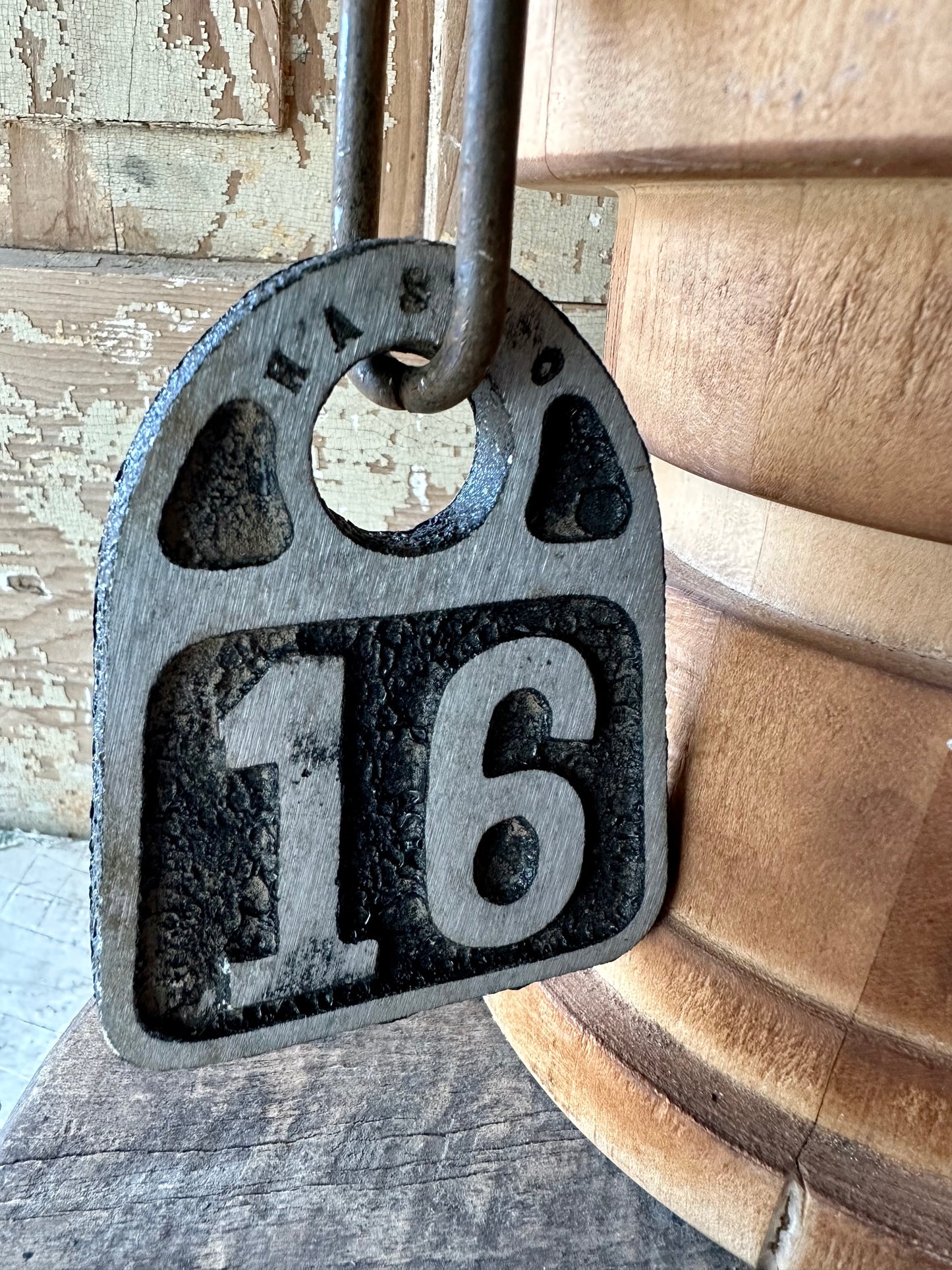 Cattle Tag With Chain #16