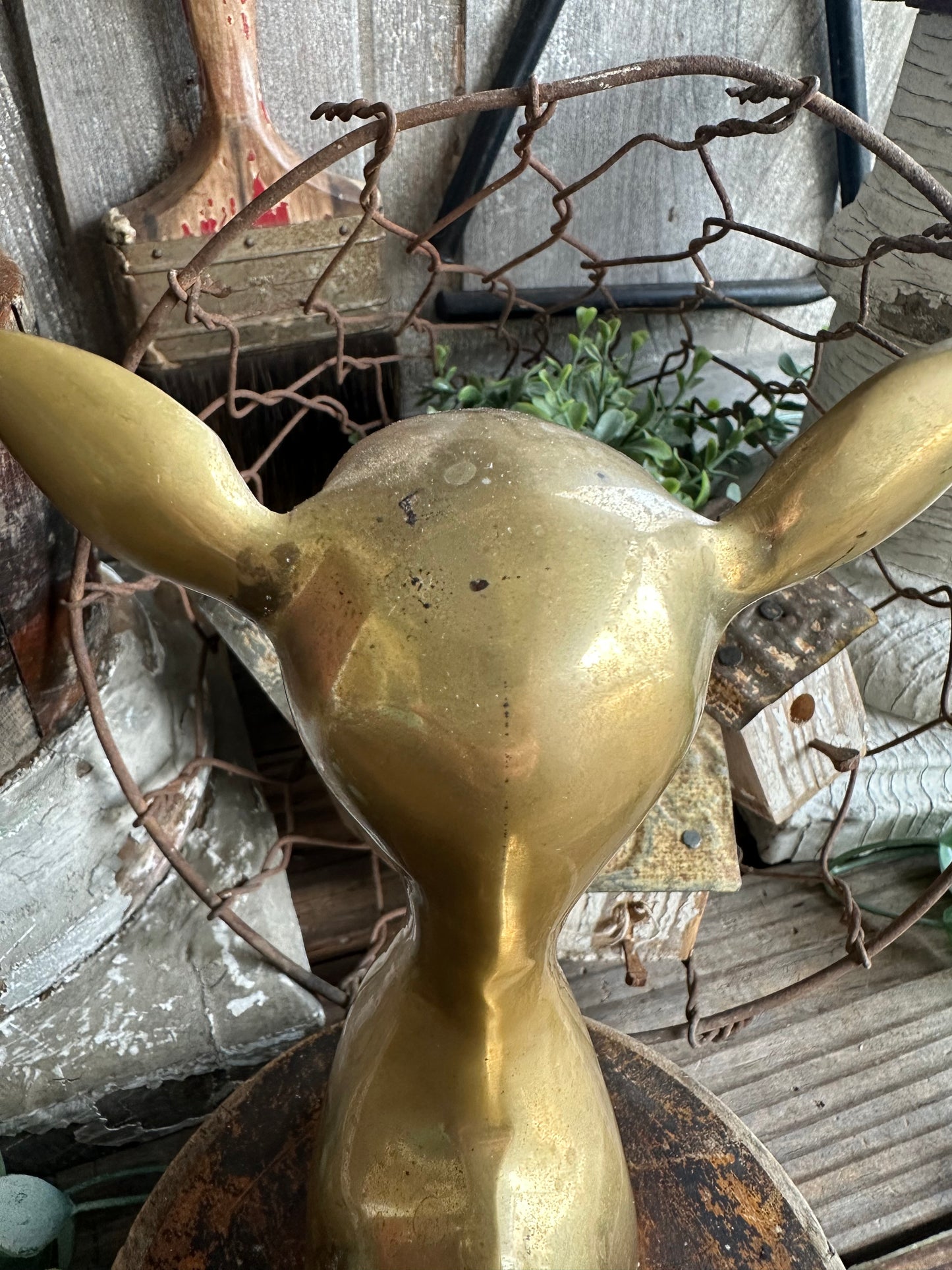 Brass Deer Set Of Two