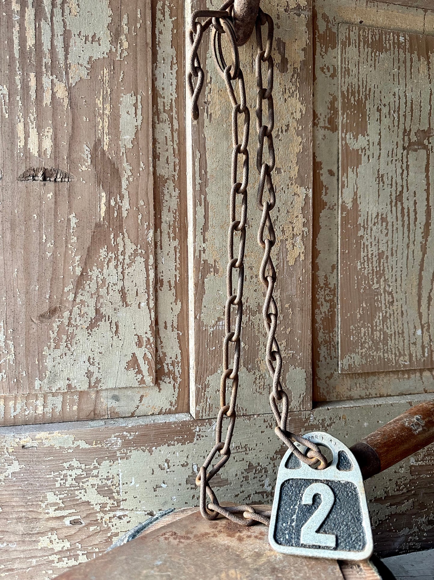 Cattle Tag With Chain #2