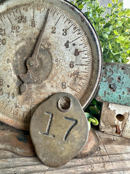 Cattle Tag Brass #17