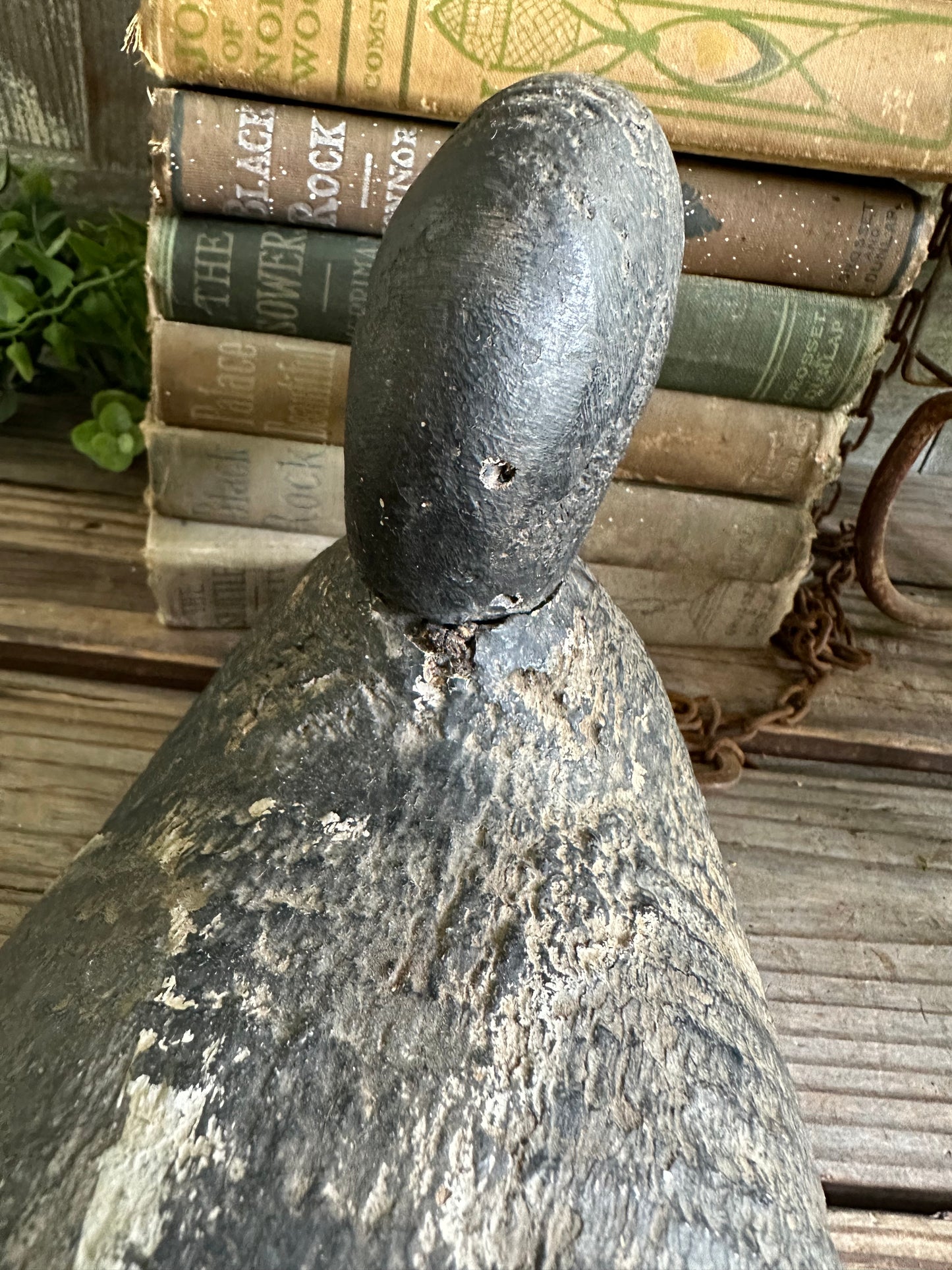 Duck Decoy