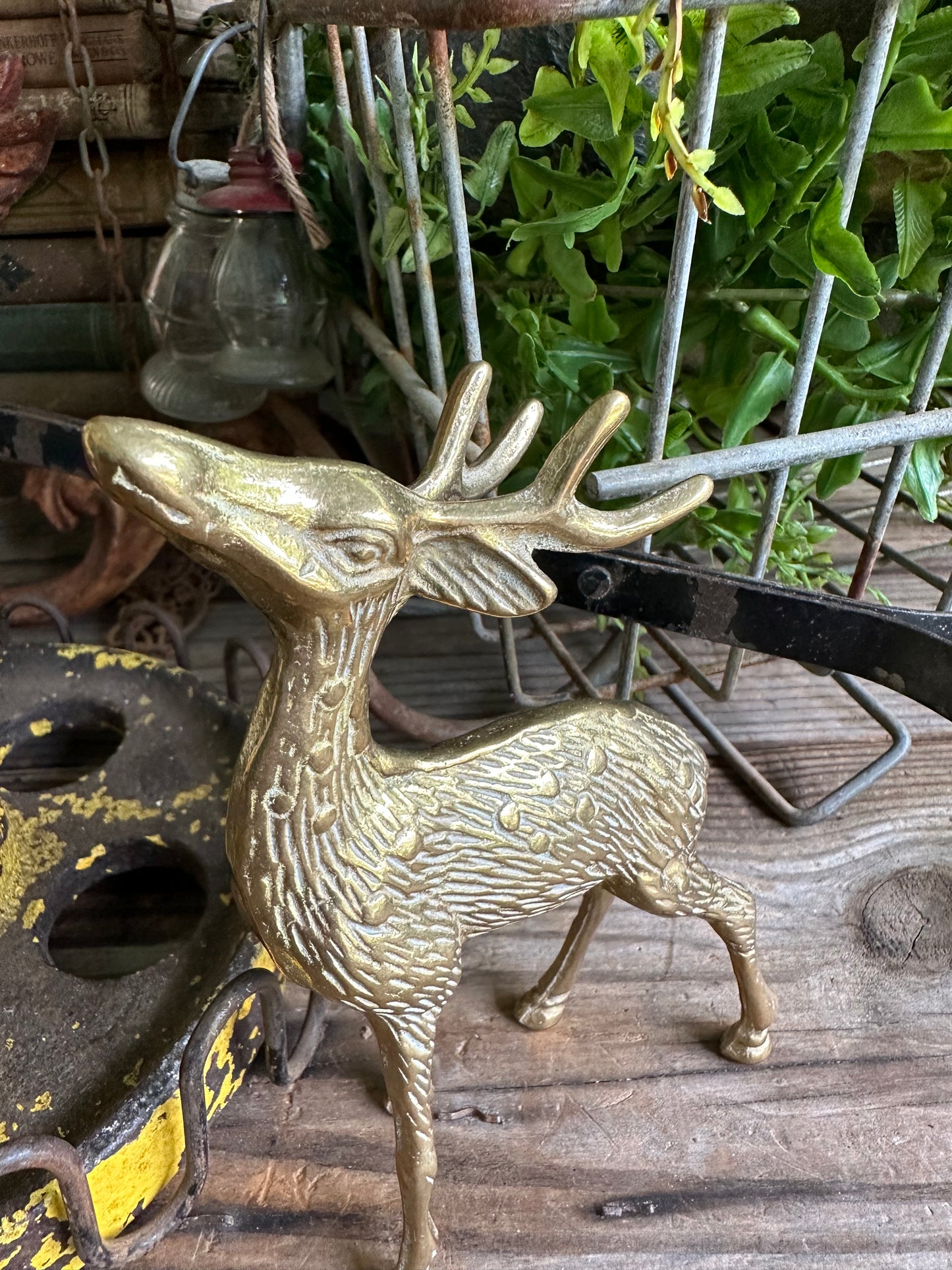 Brass Deer Set Of Two