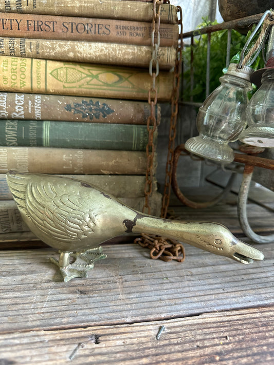 Brass Duck