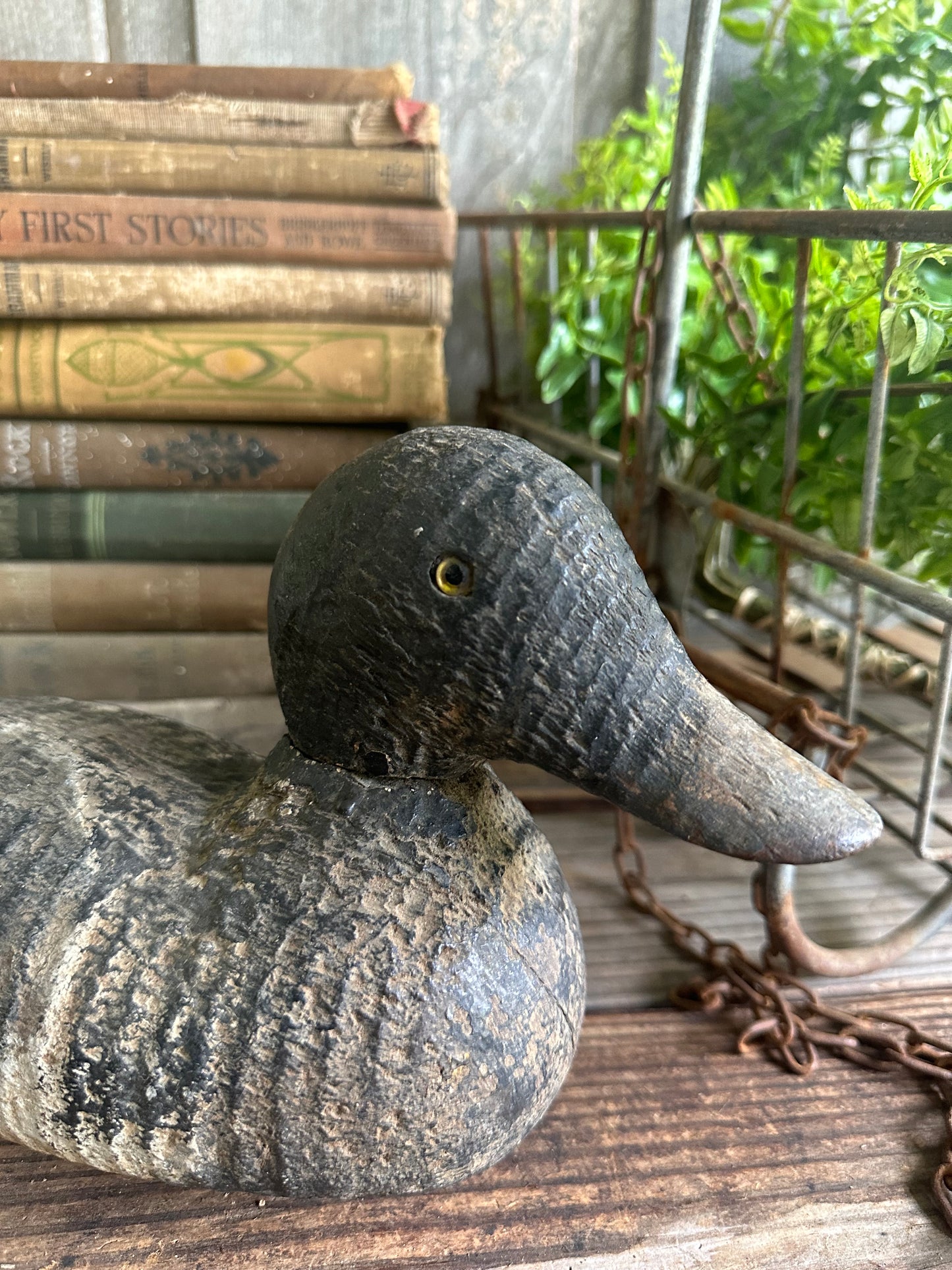 Duck Decoy