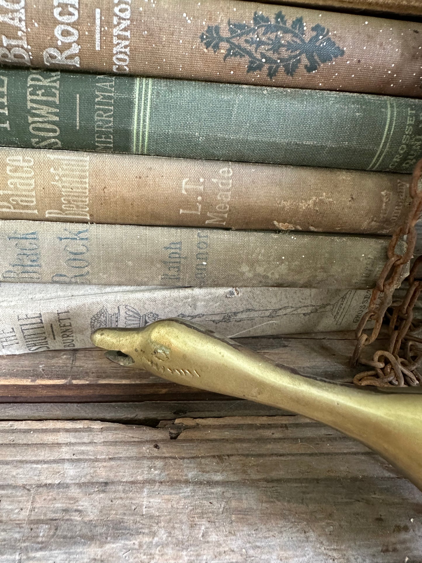 Brass Duck