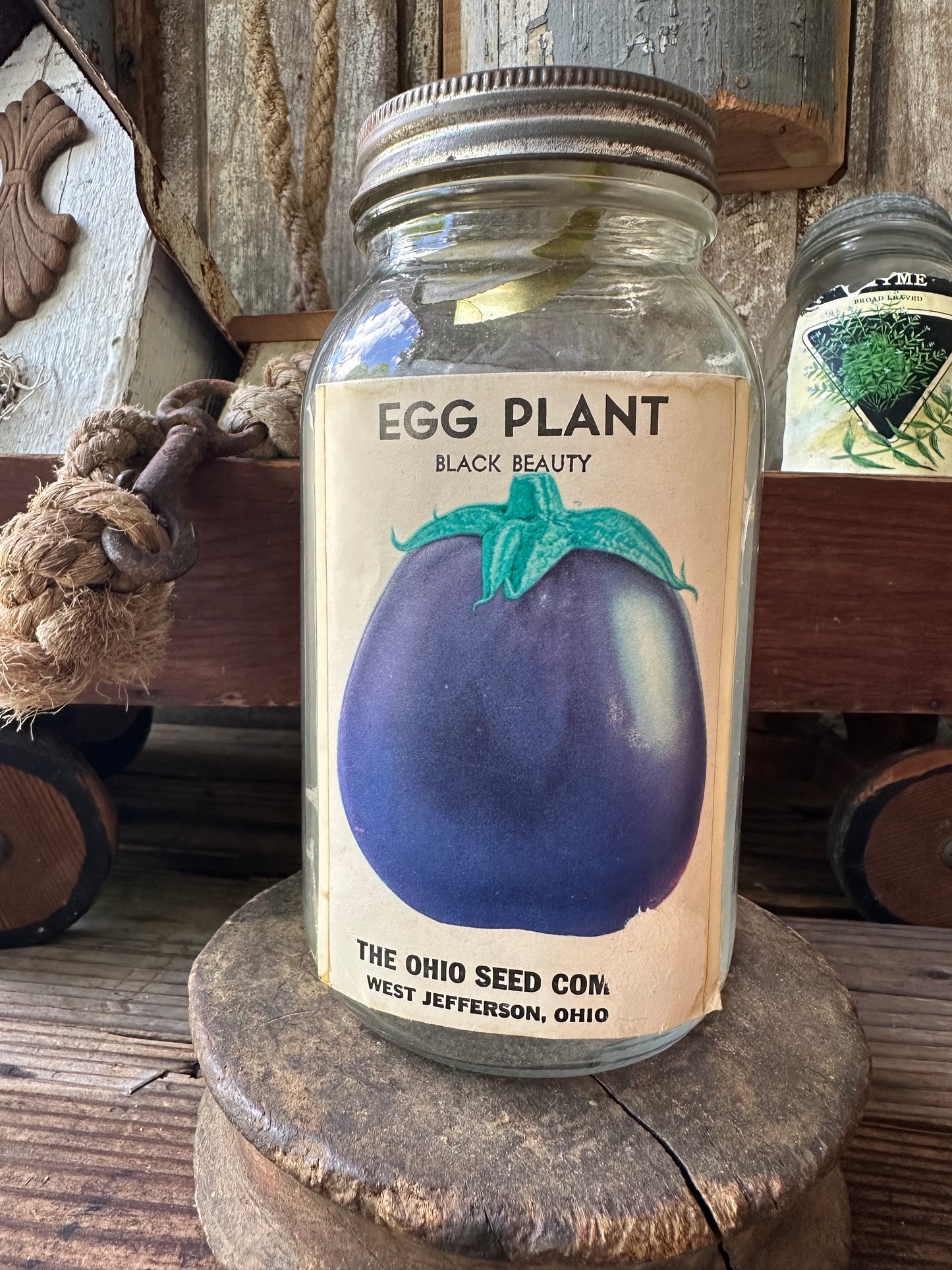 Egg Plant The Ohio Seed Co Jar