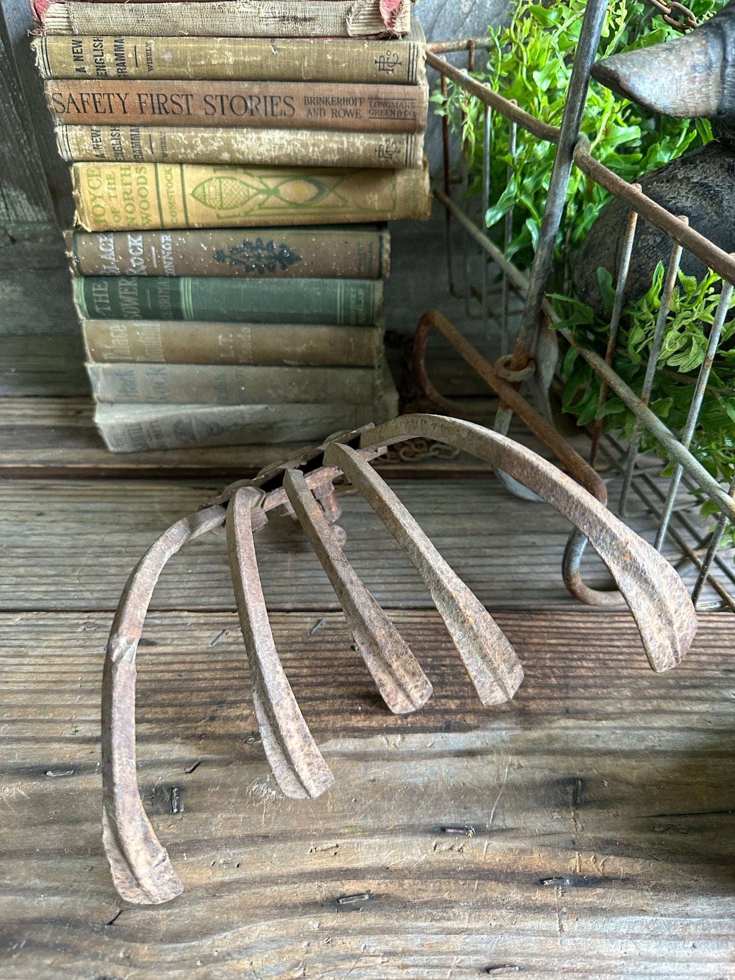 Plow Cultivator Head Rusty Metal