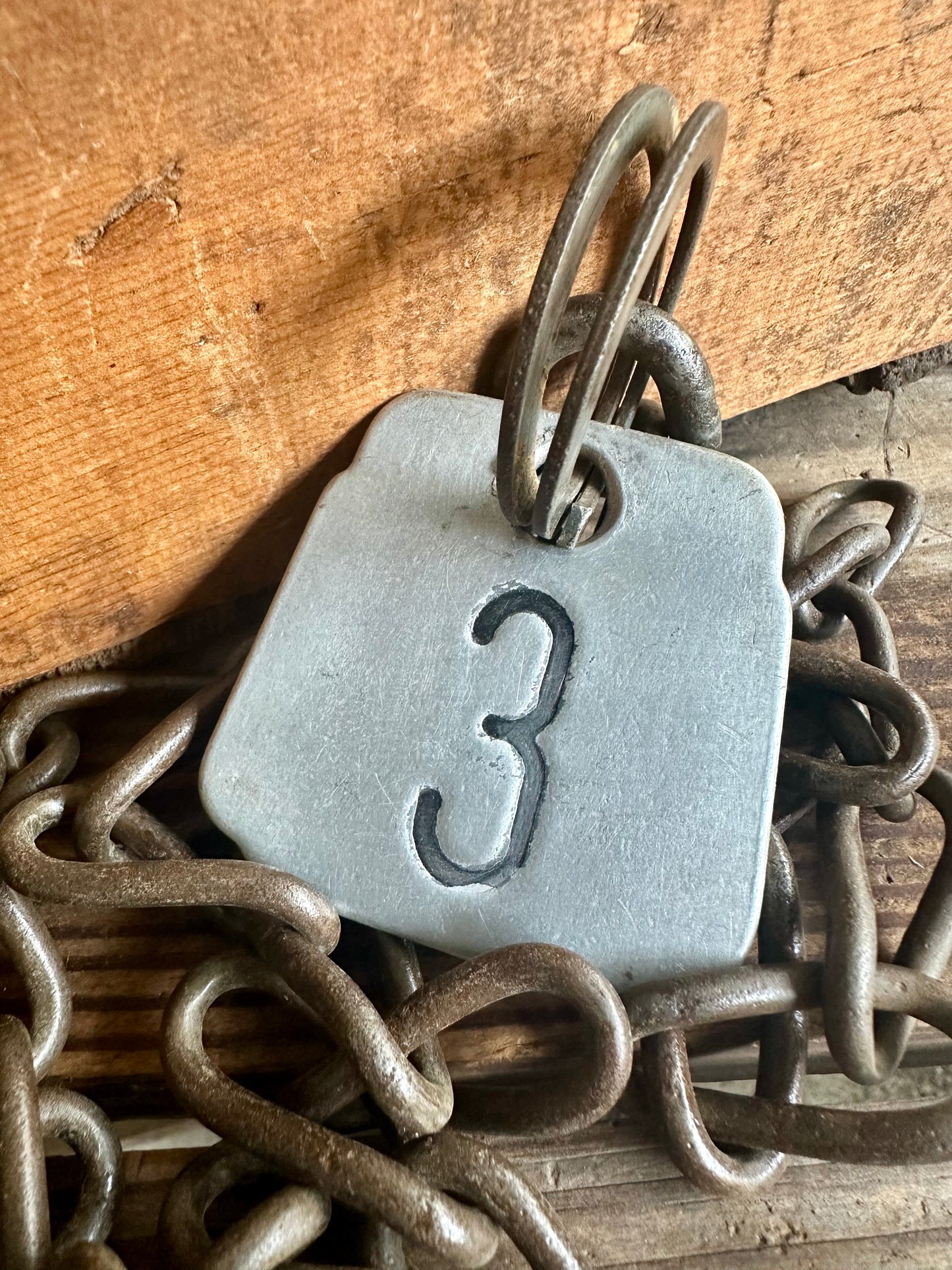 Cattle Tag With Rusty Metal Chain #3