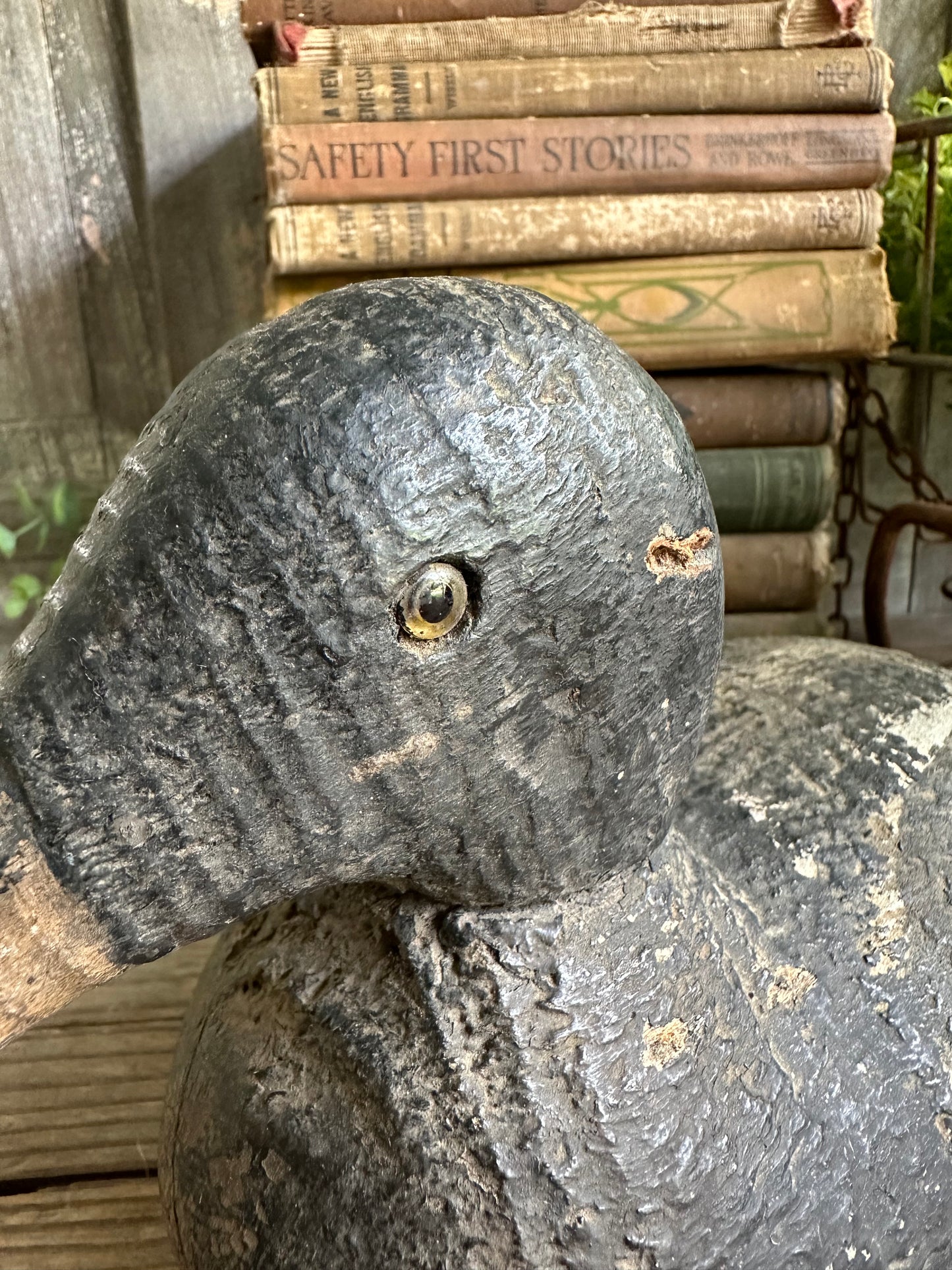 Duck Decoy