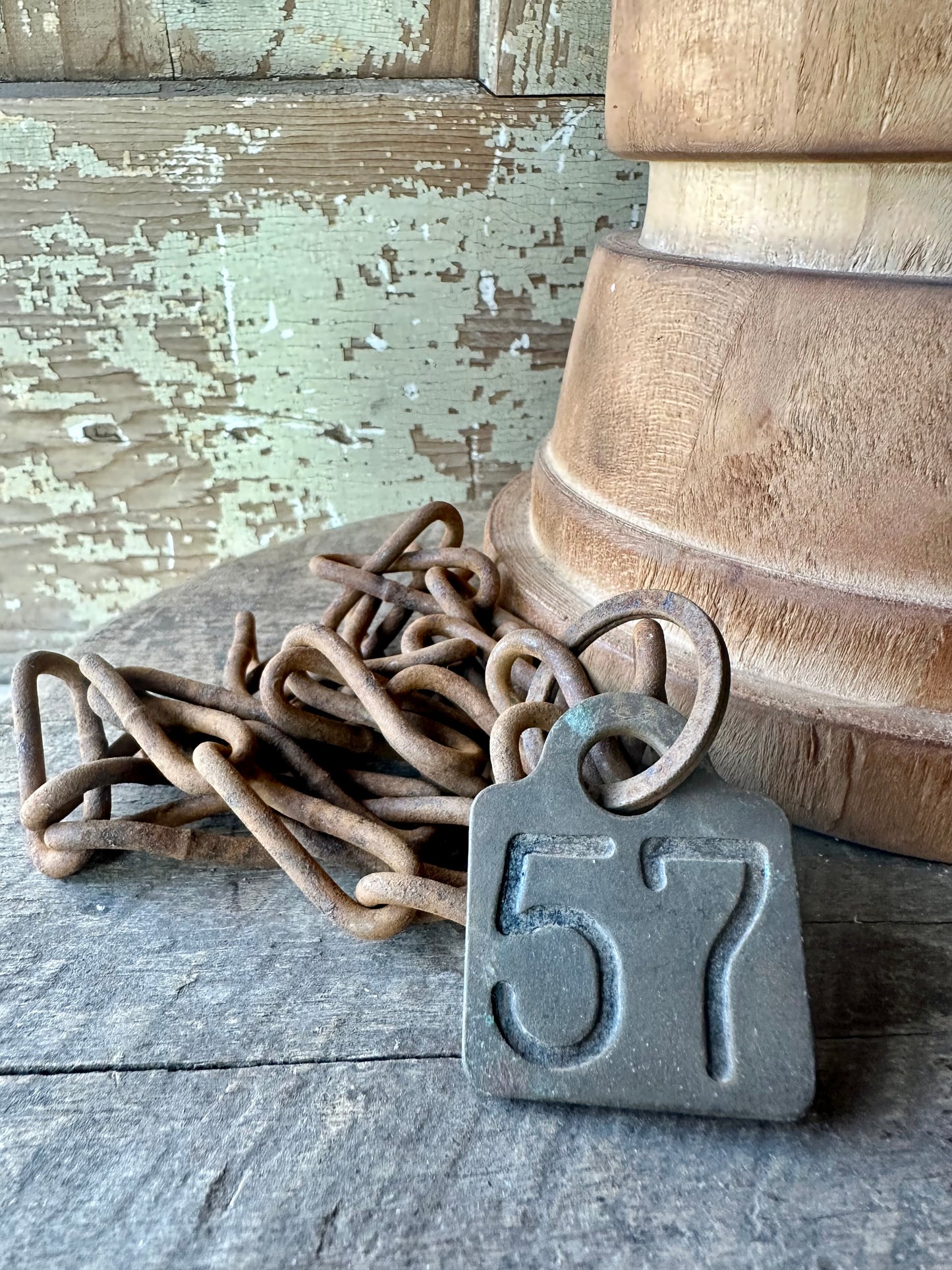 Cattle Brass Tag With Chain #57