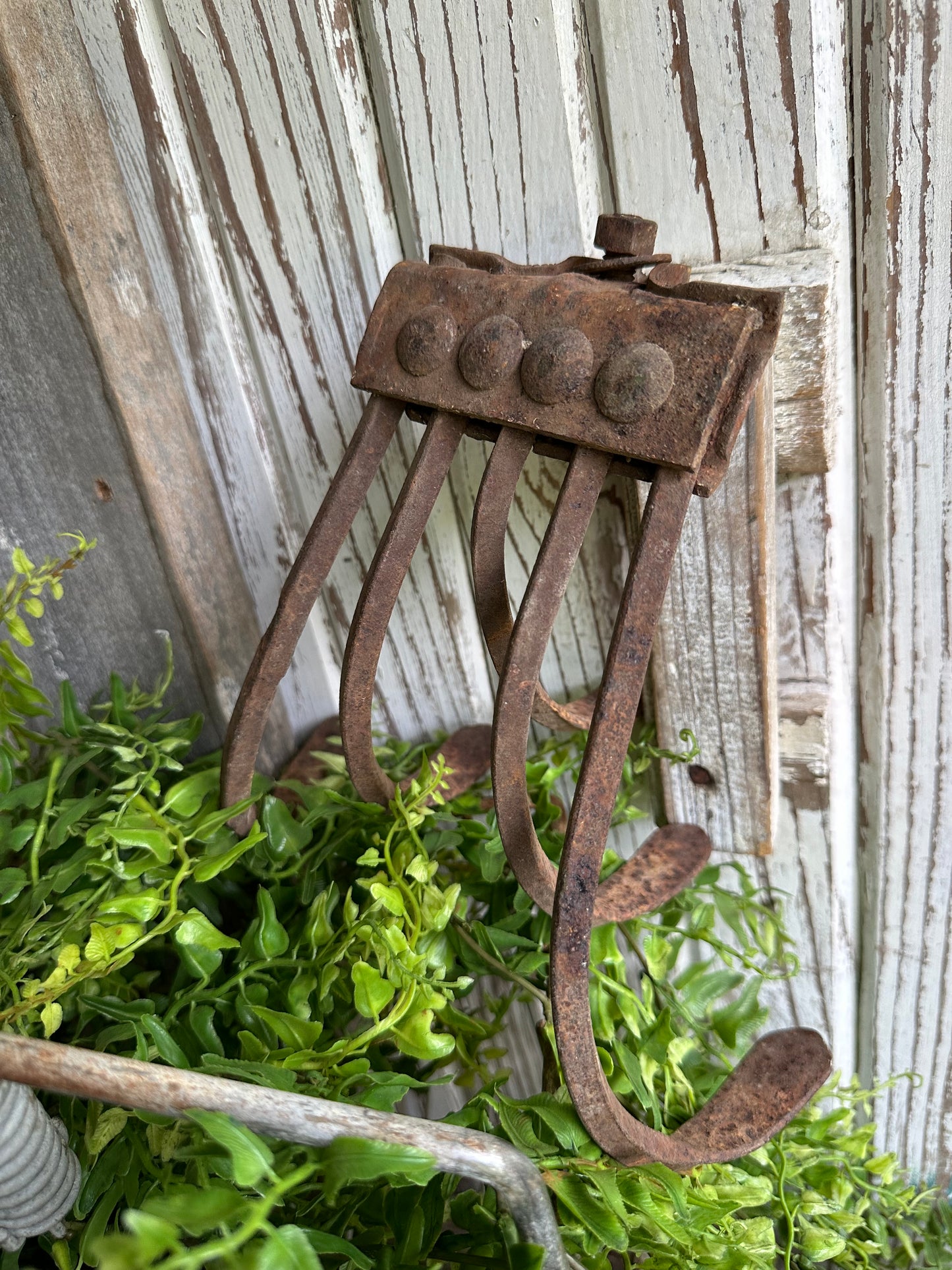 Plow Cultivator Head Rusty Metal