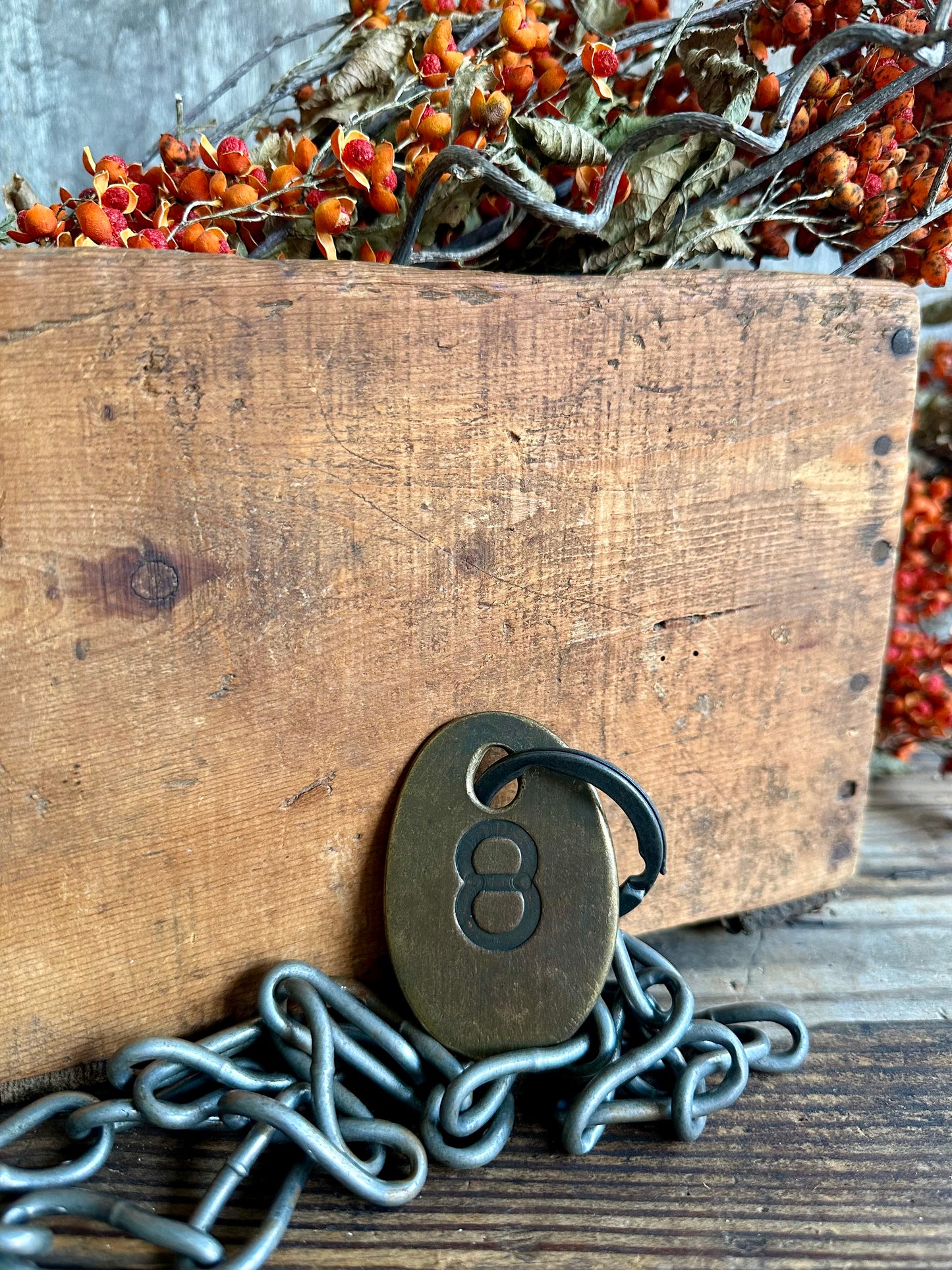 Cattle Brass Tag With Chain #8