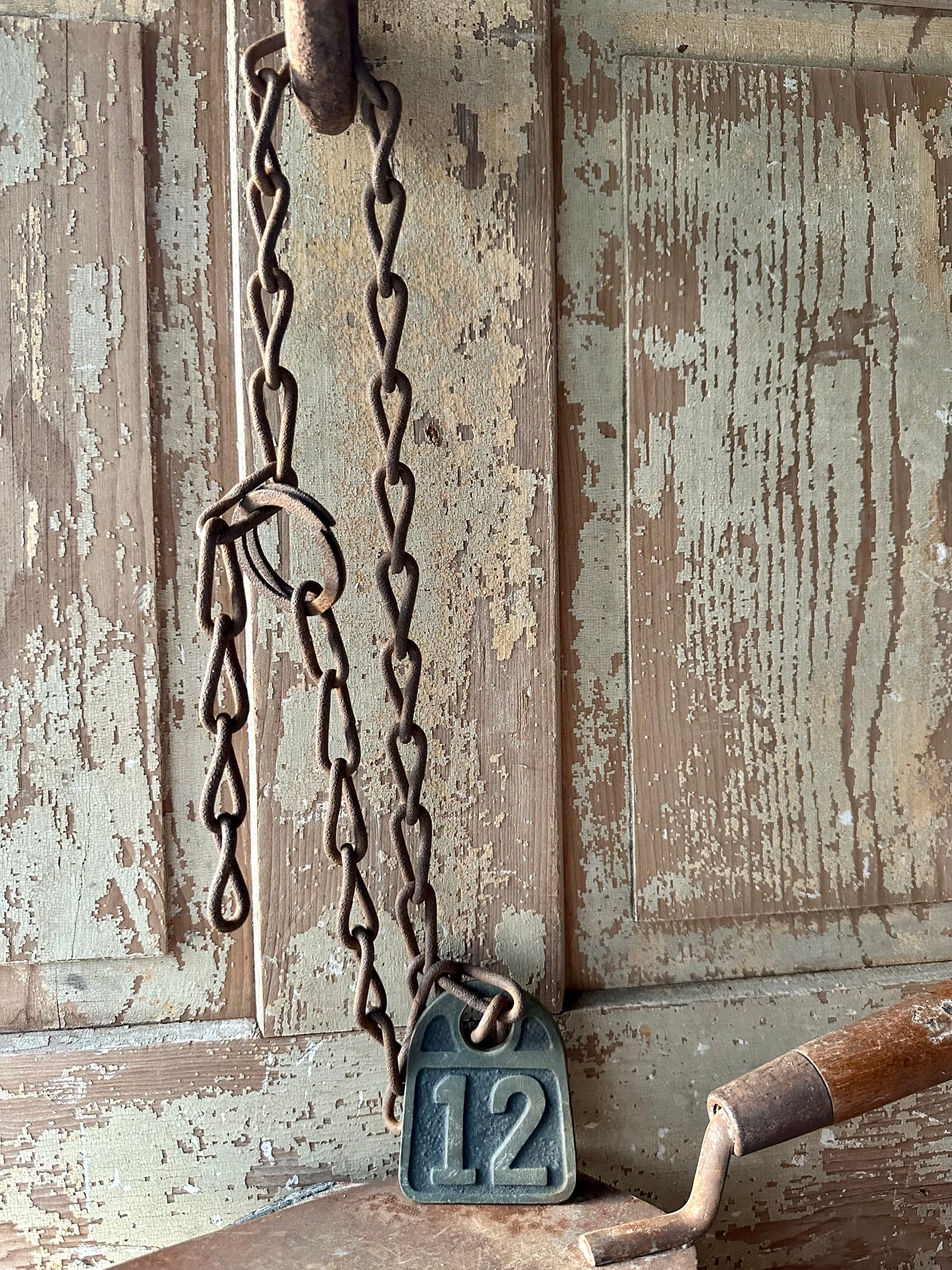 Cattle Tag With Chain #12