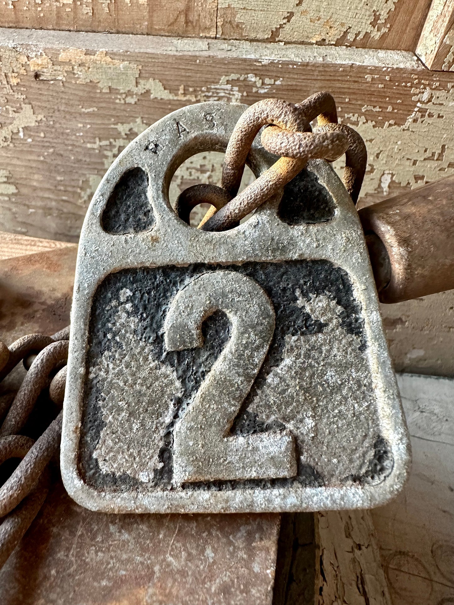 Cattle Tag With Chain #2