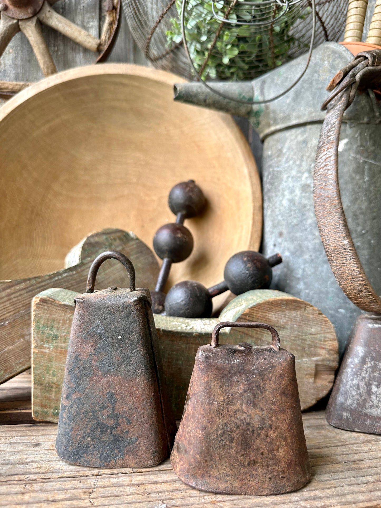 Cow/Livestock Bells Set Of Two