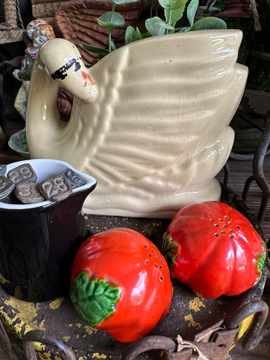 Tomato Salt & Pepper Set Japan