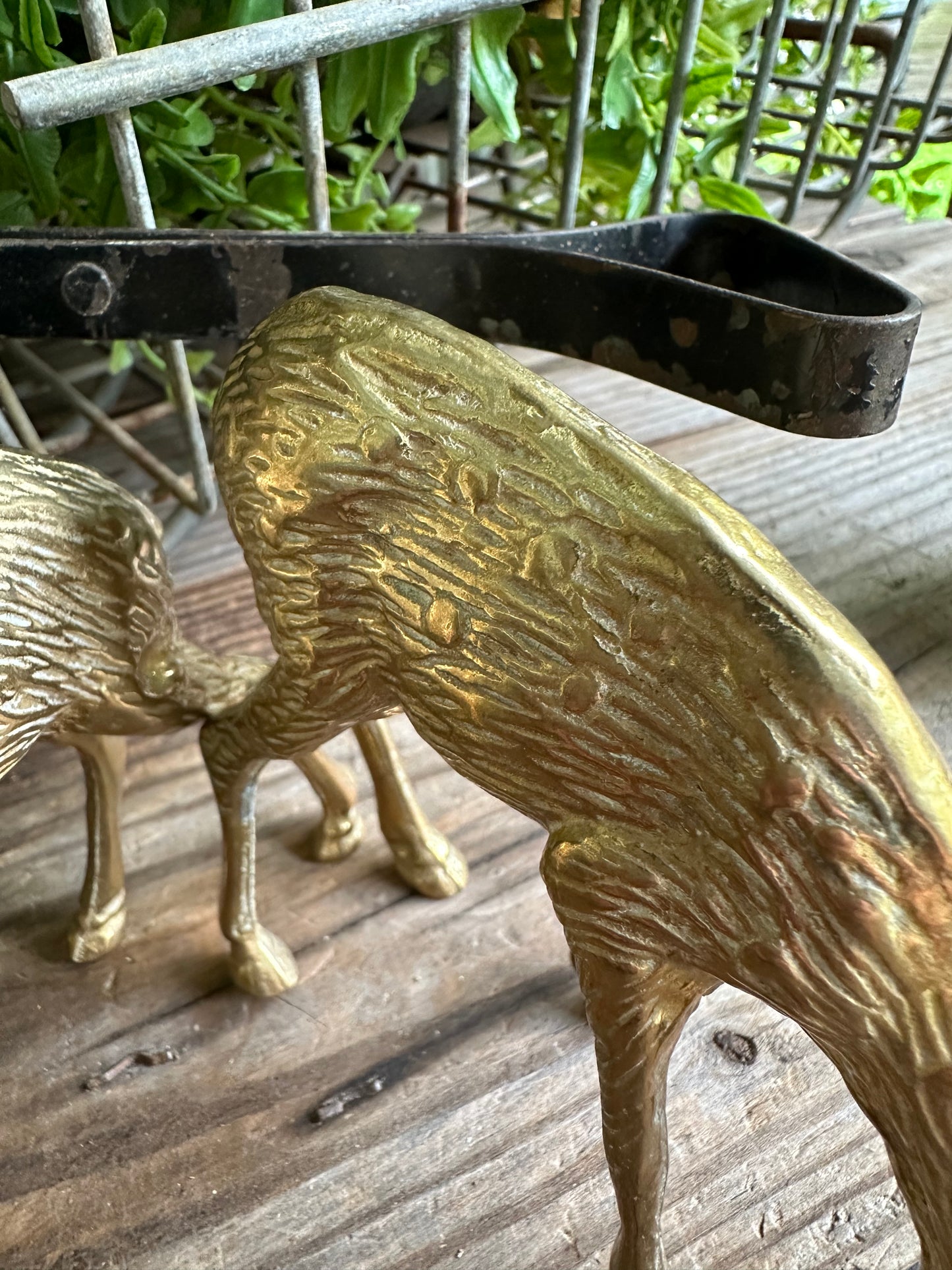 Brass Deer Set Of Two