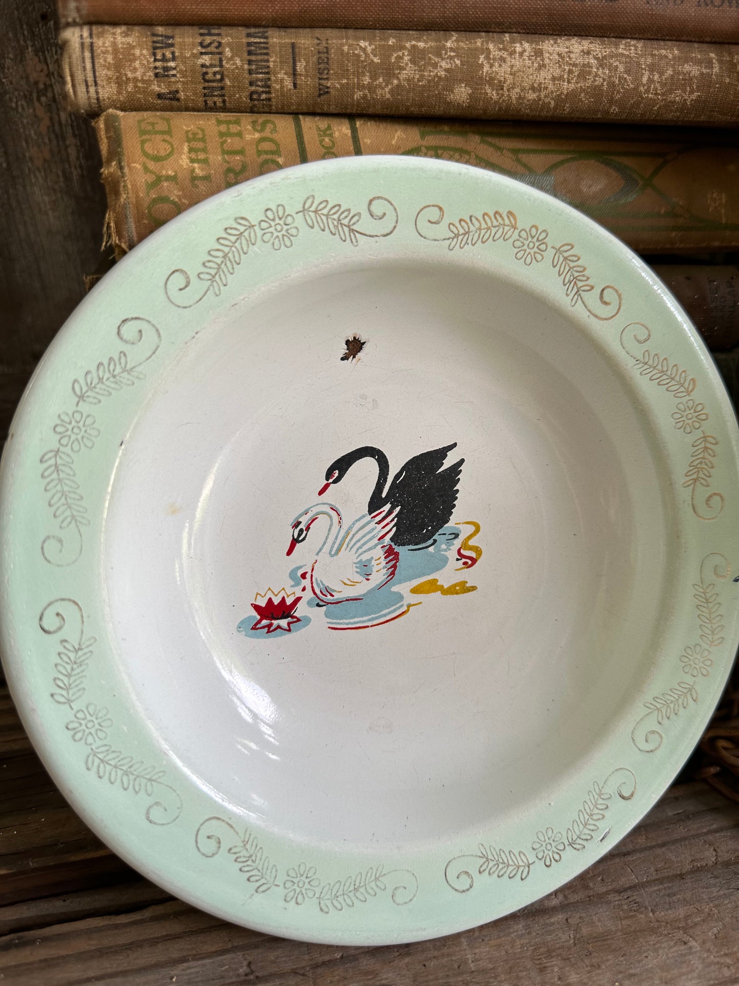 Swans Enamelware Dish